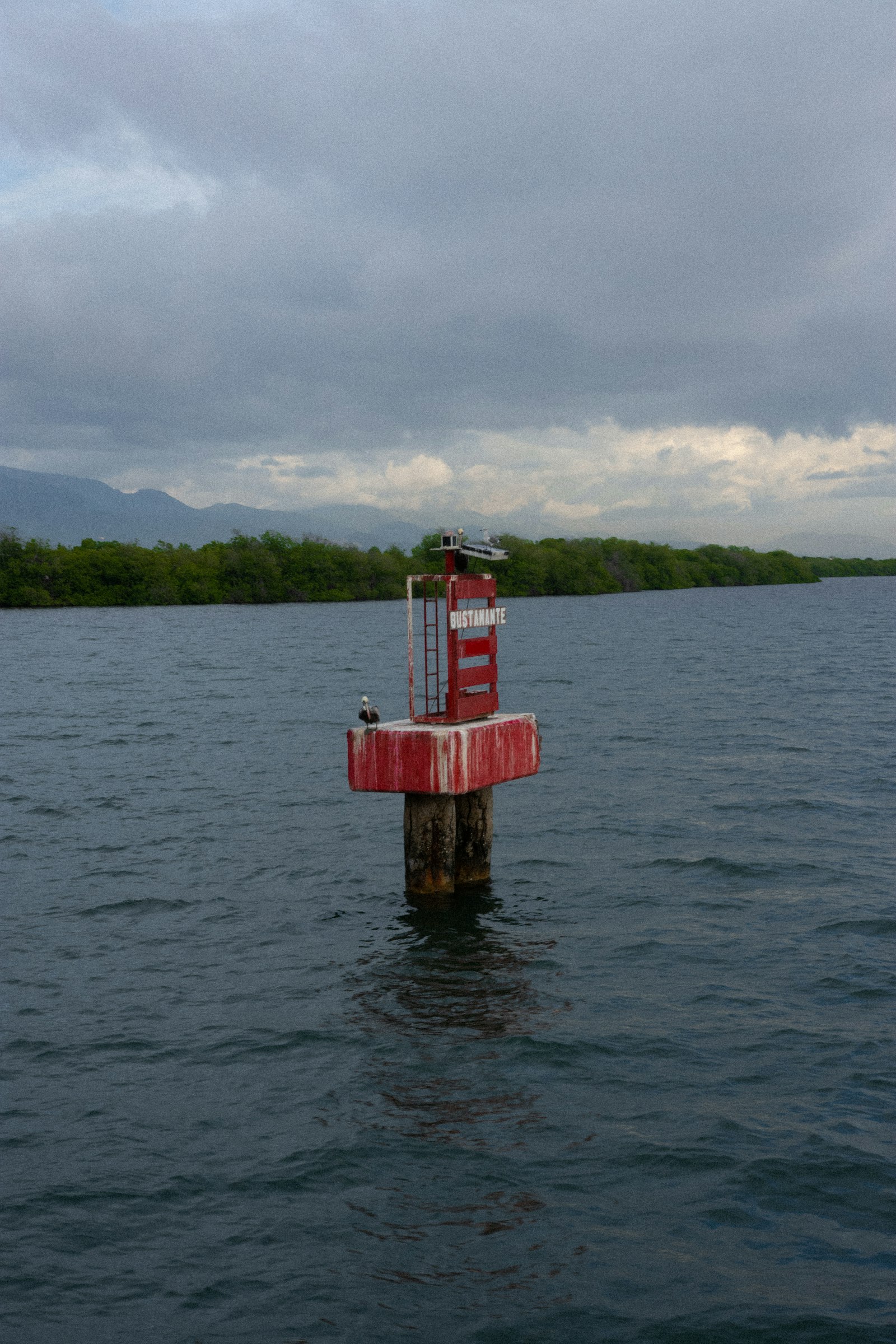 A red navigational channel marker in Kingston Harbour, Jamaica, with mangroves and the Blue Mountains in the background