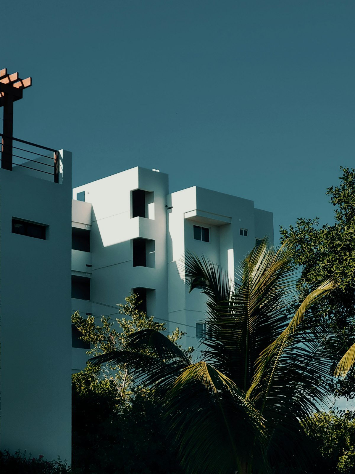 White apartment blocks and coconut palms against a deep blue sky on Ambergris Caye, Belize