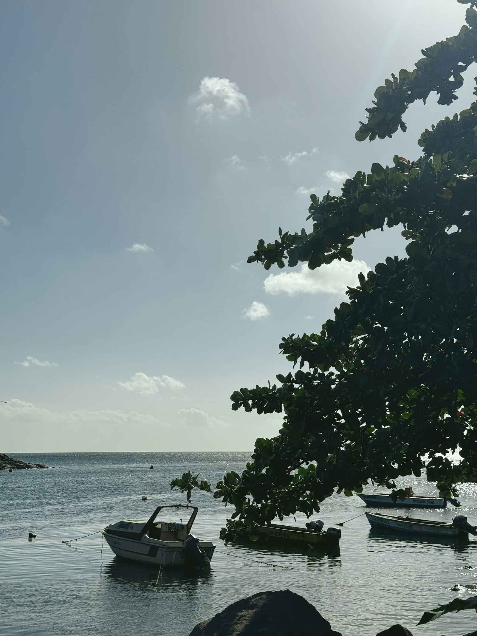 Small boats resting on the water at Basseterre in Saint Kitts and Nevis